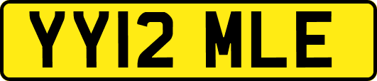YY12MLE