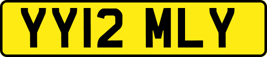 YY12MLY