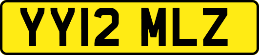 YY12MLZ