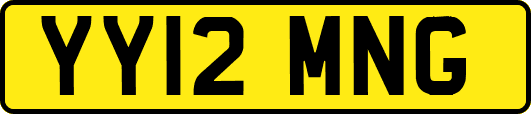 YY12MNG