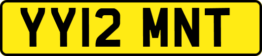 YY12MNT