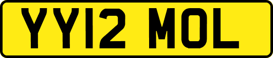 YY12MOL