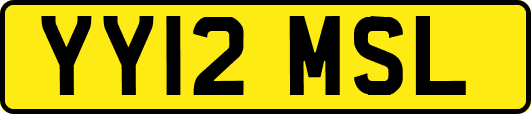 YY12MSL