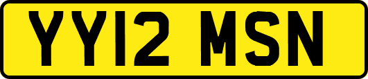 YY12MSN