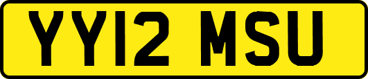 YY12MSU