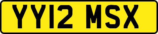 YY12MSX