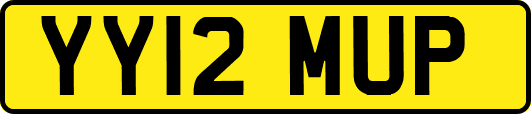 YY12MUP