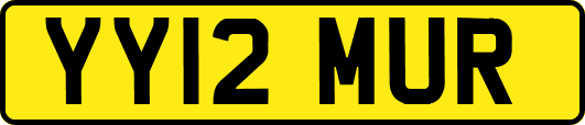 YY12MUR