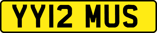 YY12MUS