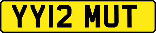 YY12MUT