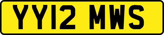 YY12MWS