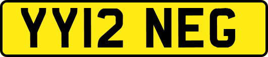 YY12NEG