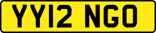 YY12NGO