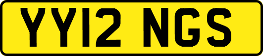 YY12NGS