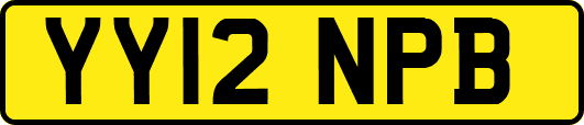 YY12NPB