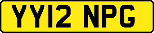 YY12NPG