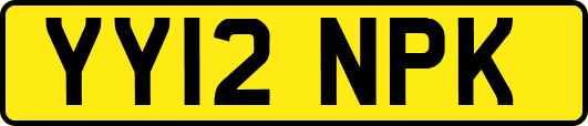 YY12NPK