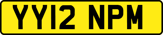 YY12NPM