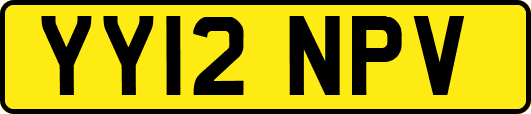 YY12NPV