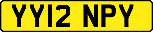 YY12NPY