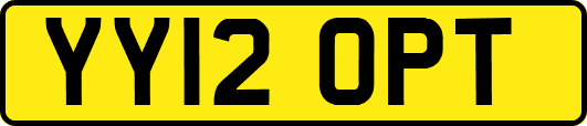 YY12OPT
