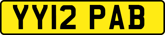 YY12PAB