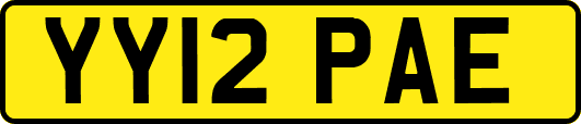 YY12PAE