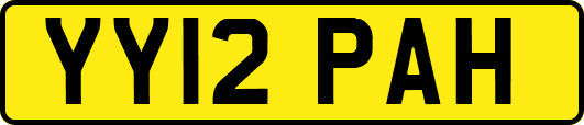 YY12PAH