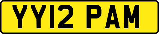 YY12PAM