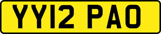 YY12PAO