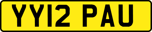 YY12PAU