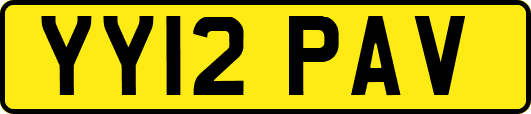 YY12PAV