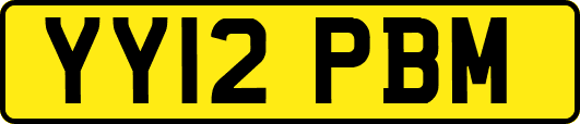 YY12PBM