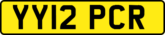 YY12PCR