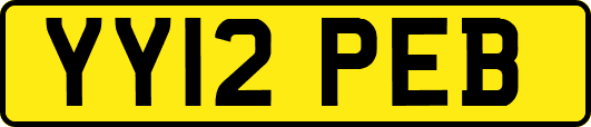 YY12PEB