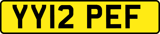 YY12PEF