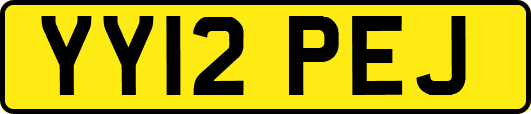YY12PEJ