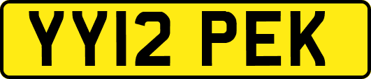 YY12PEK