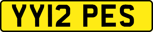 YY12PES