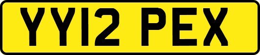 YY12PEX