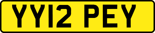 YY12PEY