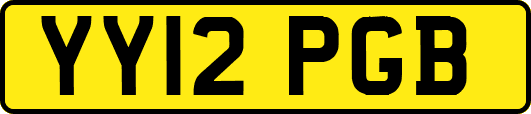 YY12PGB