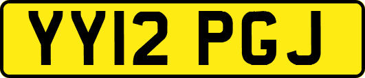 YY12PGJ