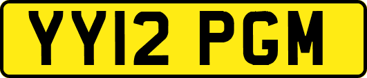 YY12PGM