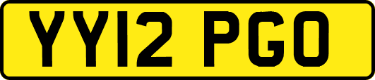 YY12PGO