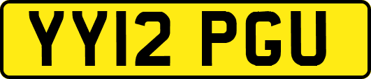 YY12PGU