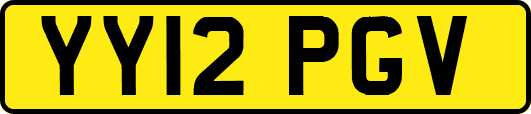 YY12PGV