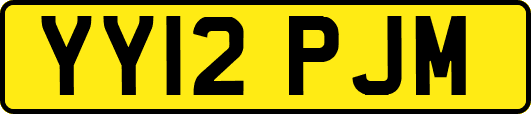 YY12PJM