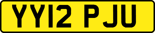 YY12PJU