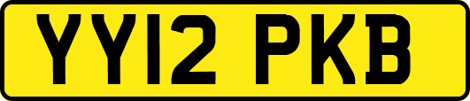 YY12PKB